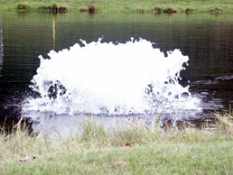 Kasco High Oxygen Transfer Surface Aerator